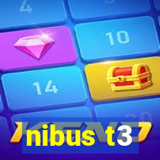 nibus t3